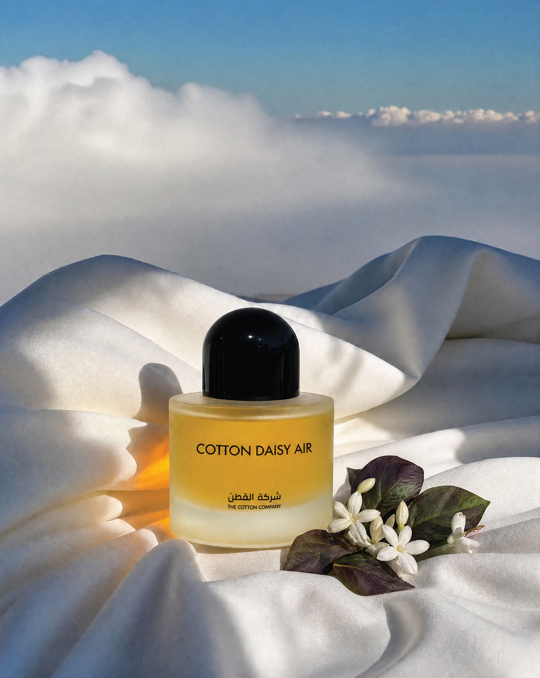 Cotton Daisy Air